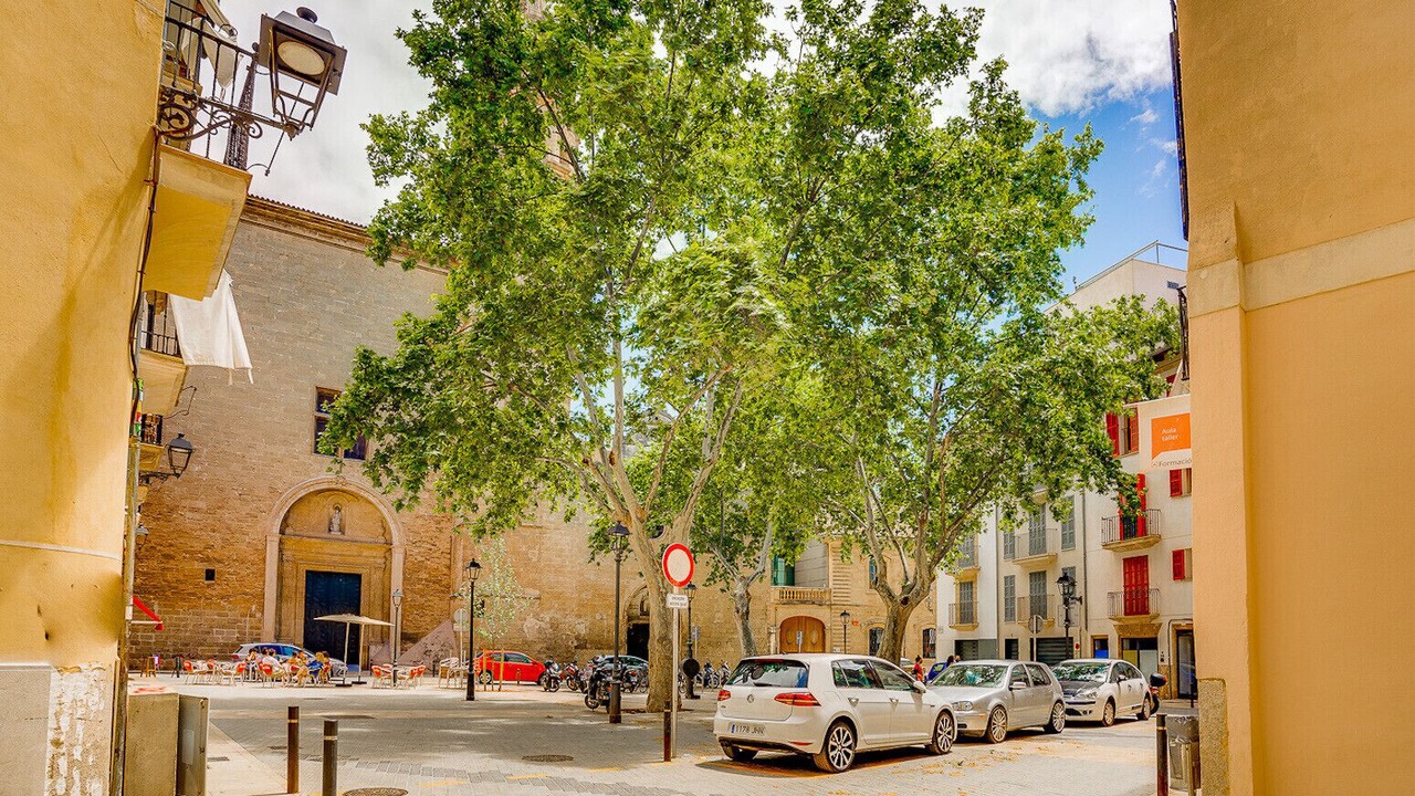 Photo of Others in Sindicat