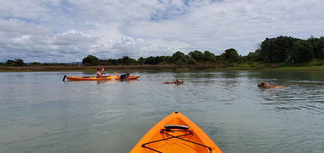 Photo of Outdoor in Waiotahi