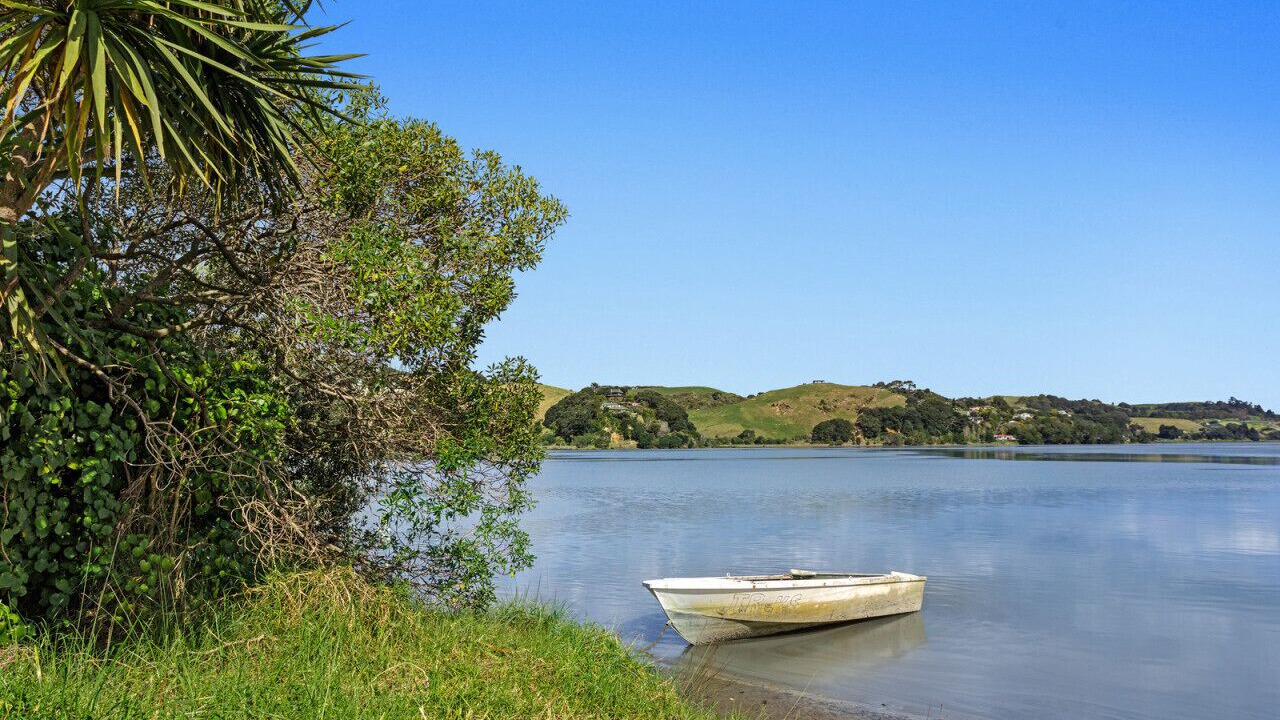 Photo of Outdoor in Waiotahi