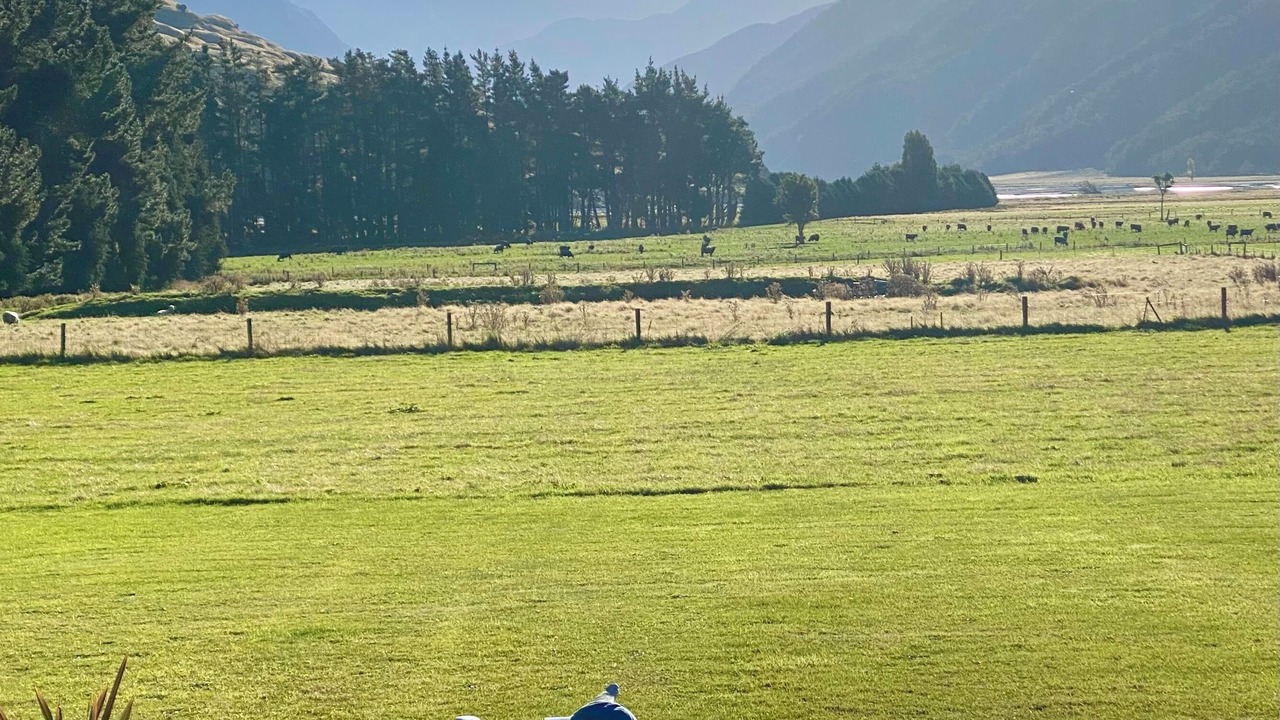 Photo of Others in Makarora