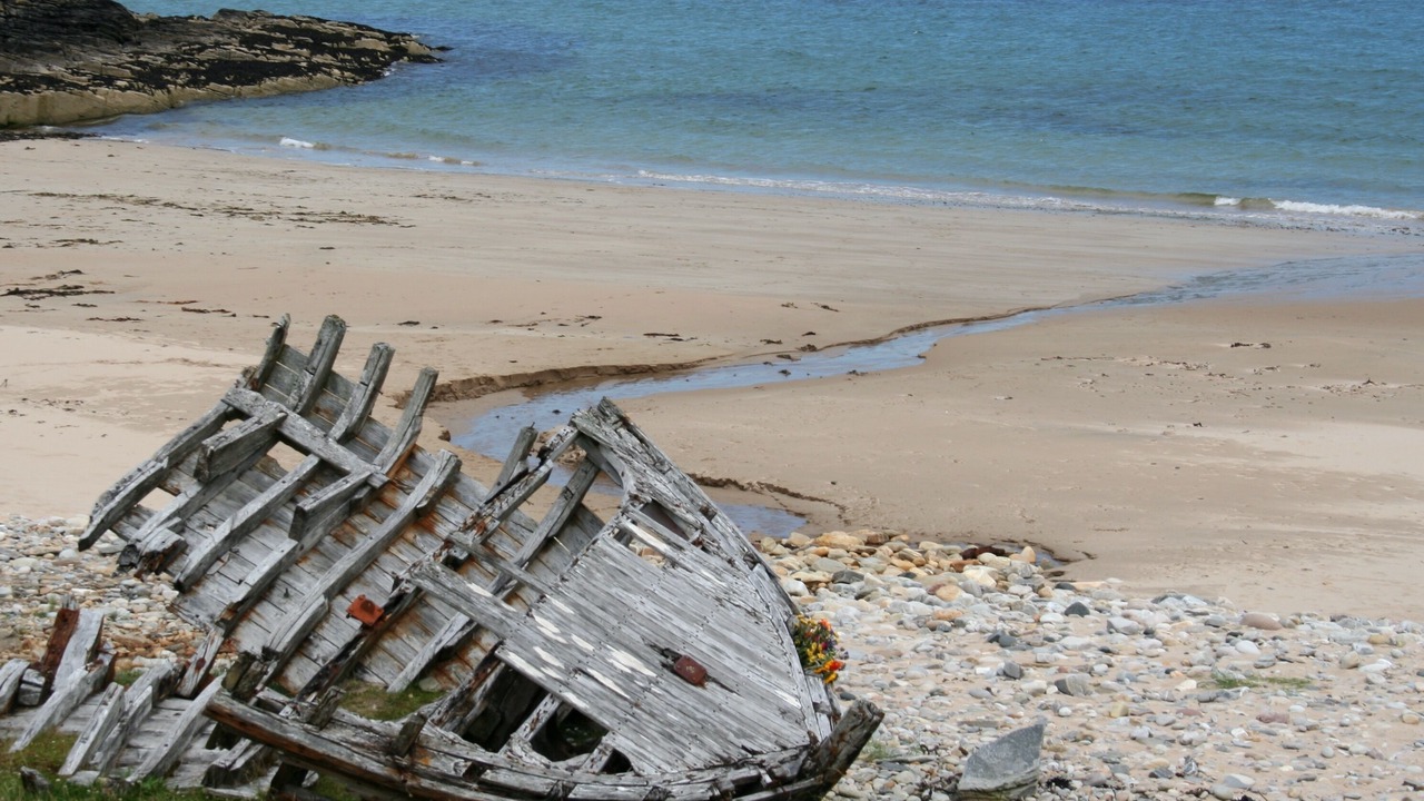 Photo of Others in Lairg