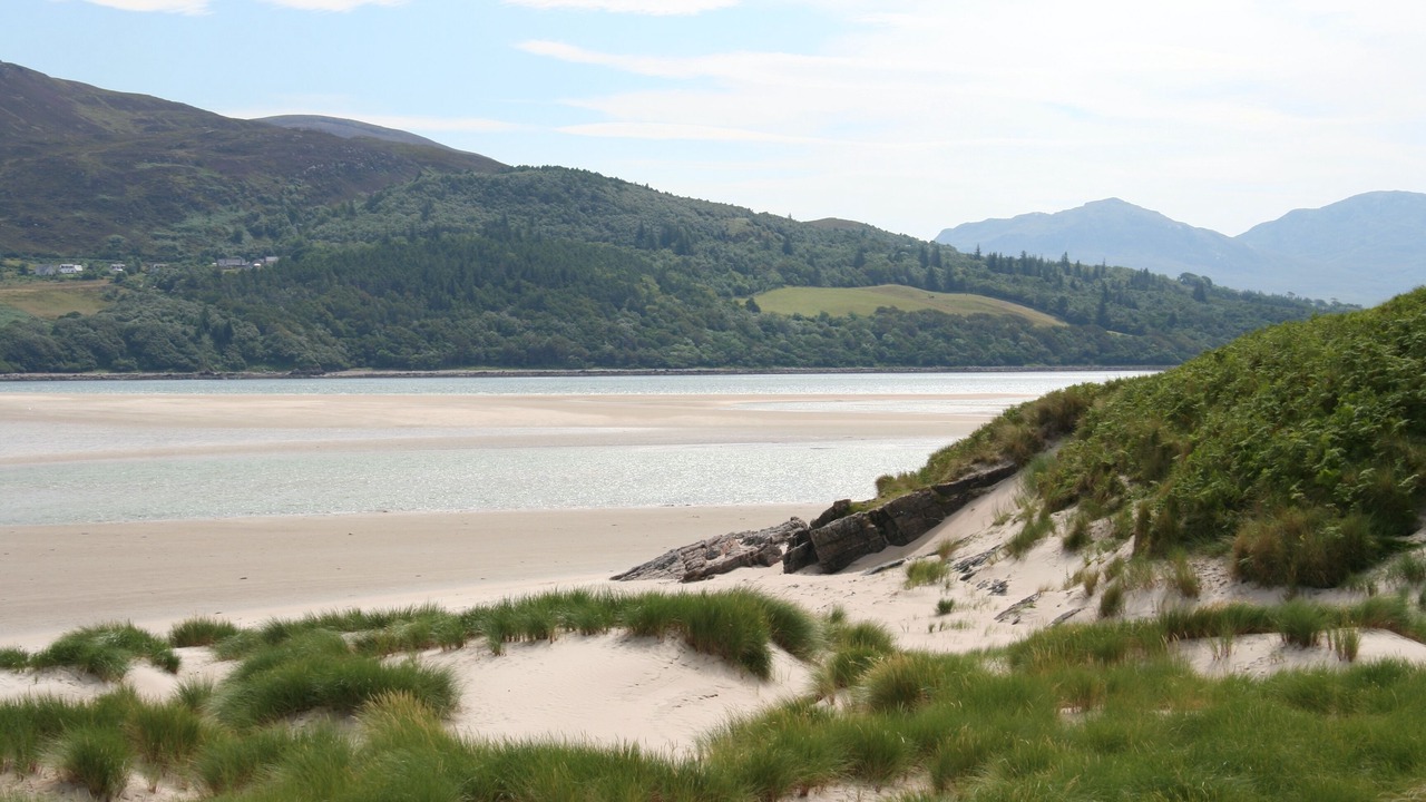 Photo of Others in Lairg
