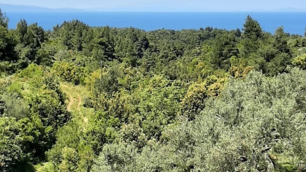 Photo of Outdoor in Vlakhia