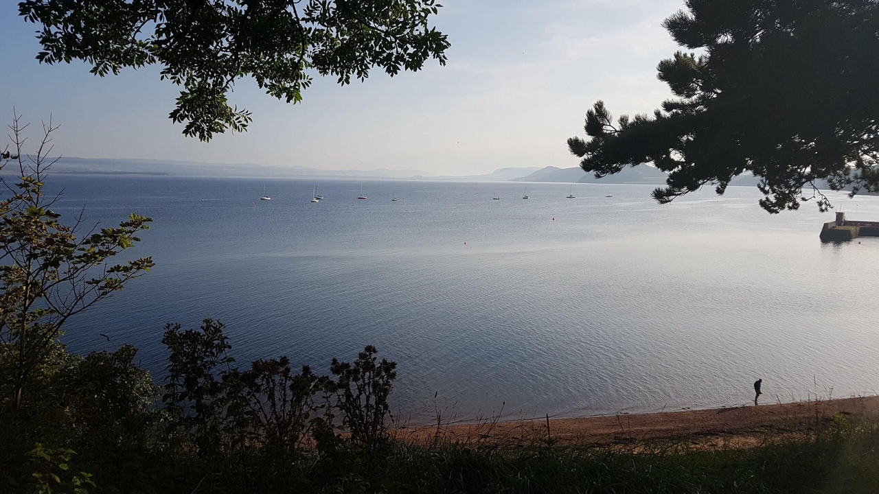Photo of Others in Fortrose