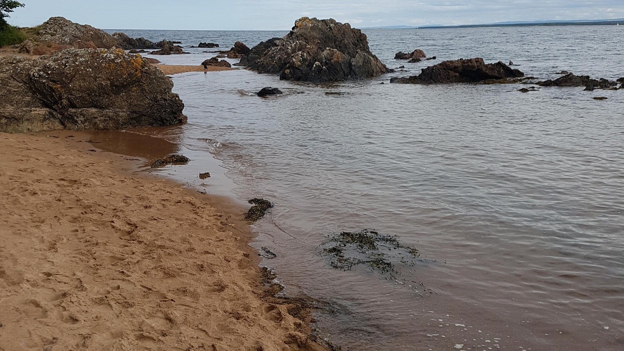 Photo of Others in Fortrose