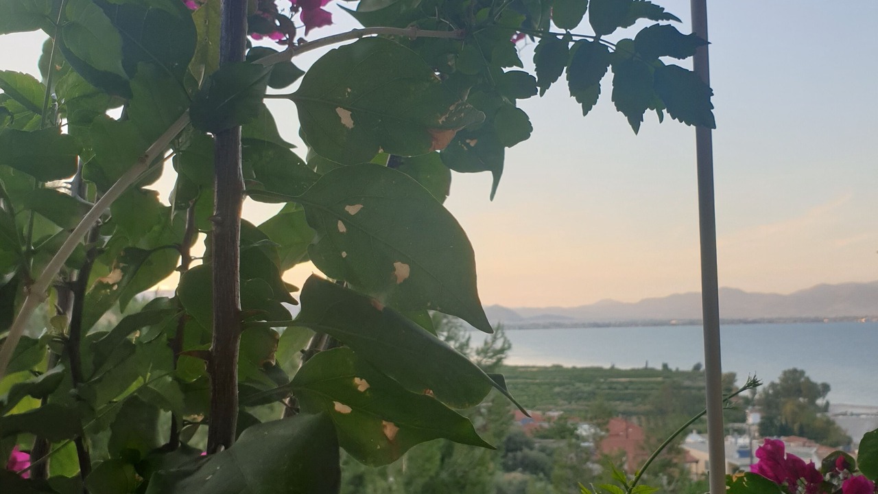 Photo of Outdoor in Kiveri