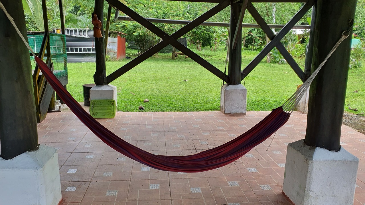 Photo of Patio Balcony in Siquirres