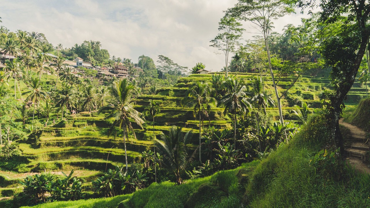 Photo of Outdoor in Sigar Penjalin