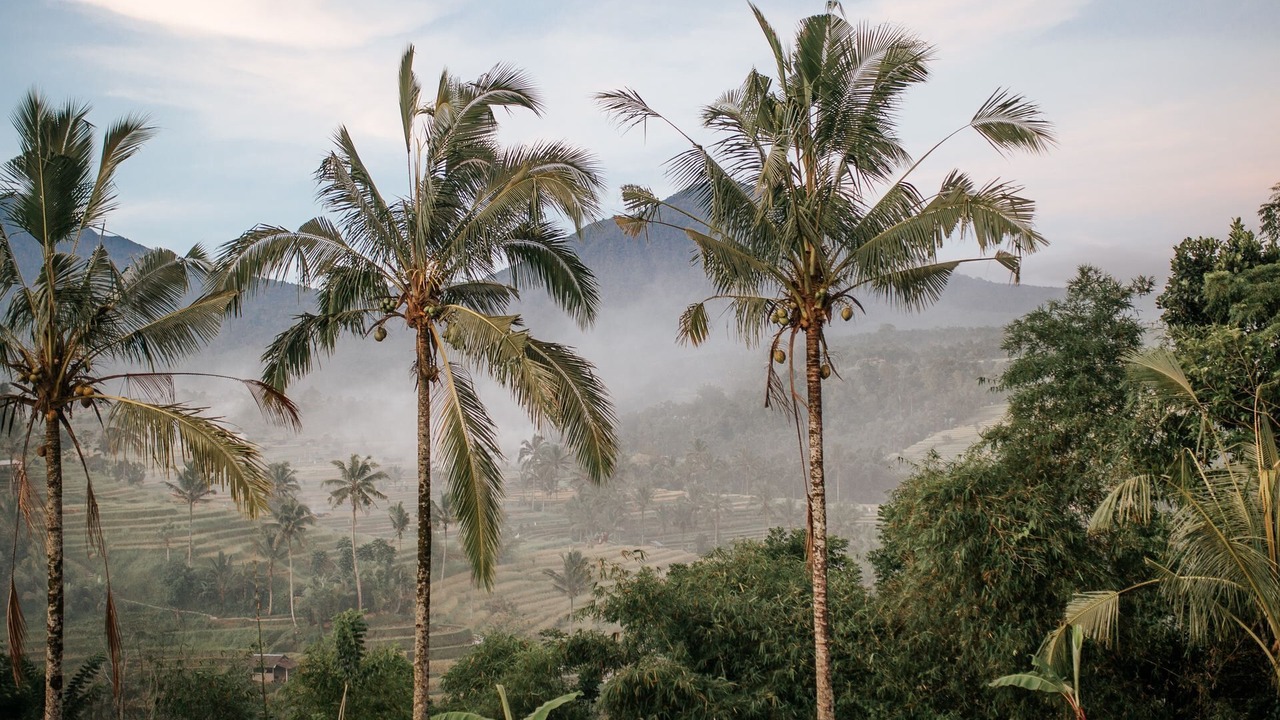 Photo of Outdoor in Sigar Penjalin