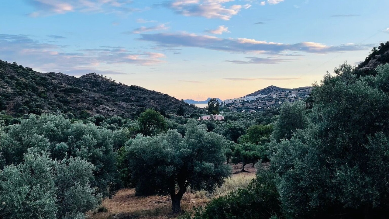 Photo of Others in Agia Galini