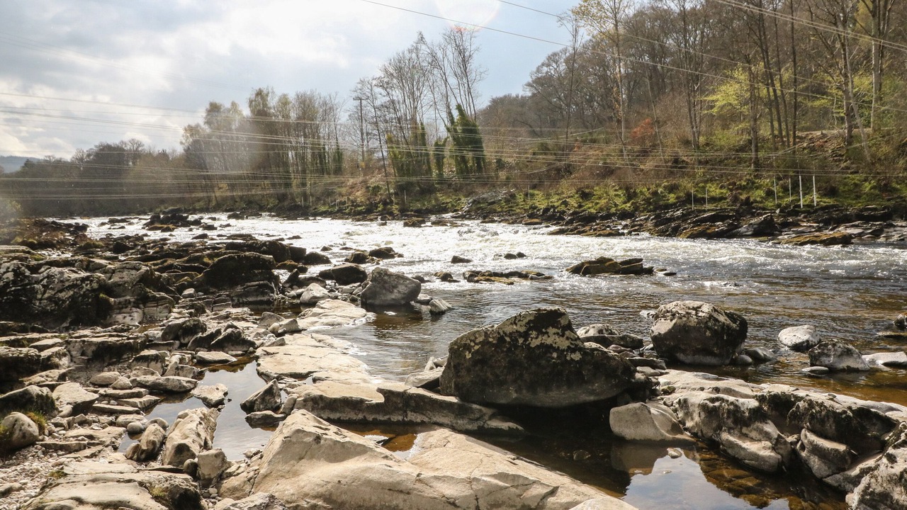 Photo of Others in Strathtay