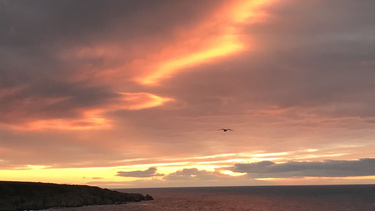 Photo of Outdoor in Portsoy