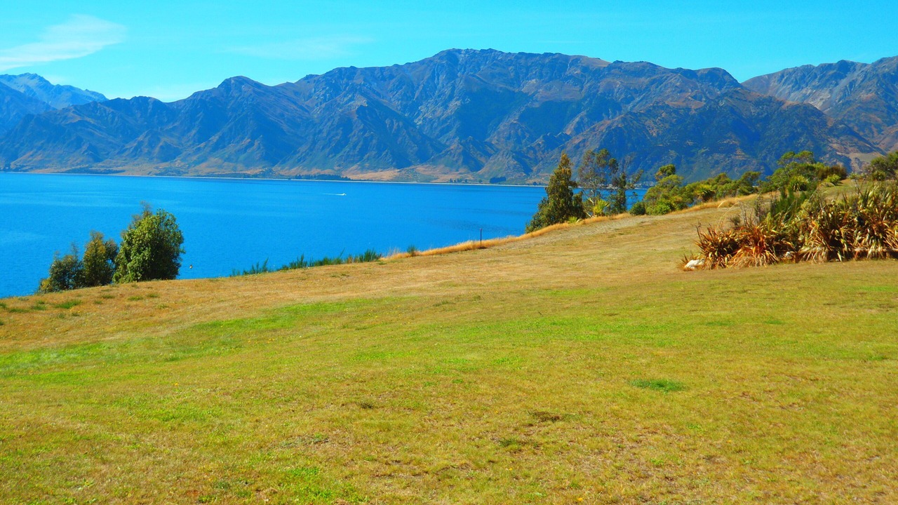 Photo of Others in Lake Hawea