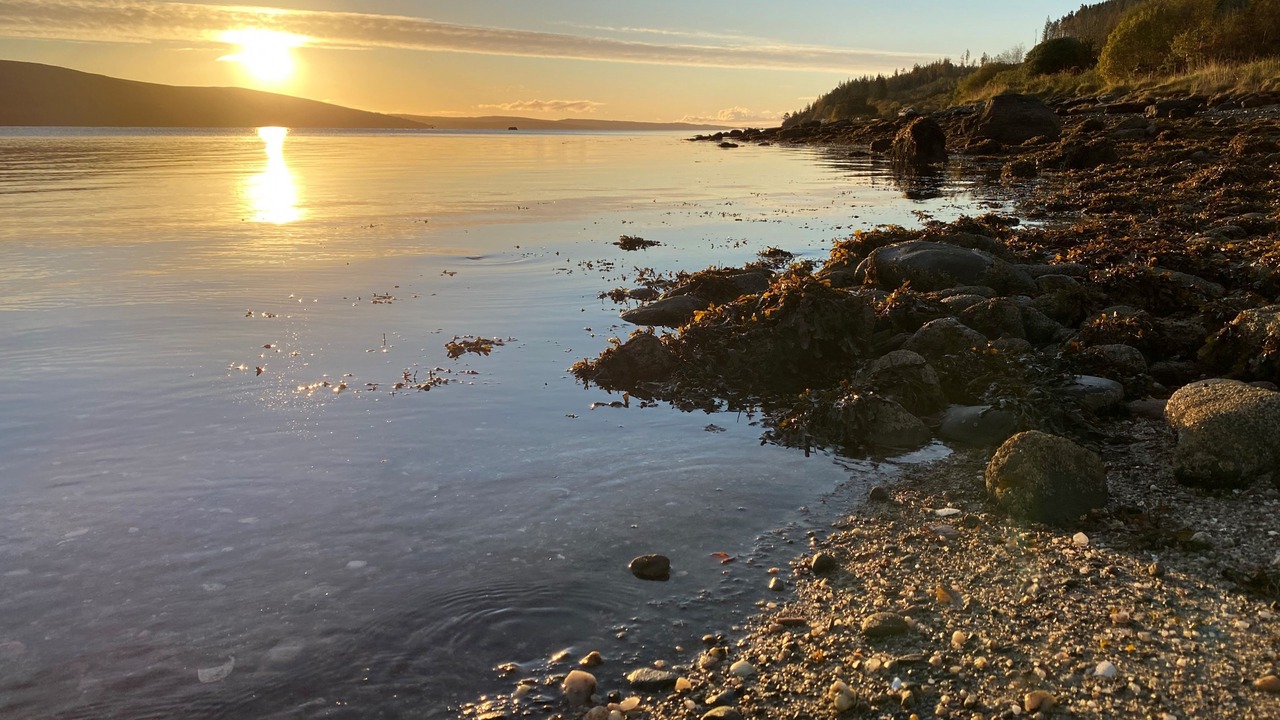 Photo of Others in Tighnabruaich
