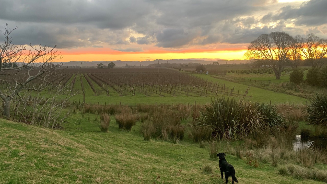 Photo of Outdoor in Gisborne