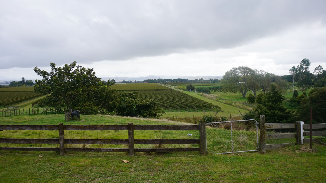 Photo of Others in Gisborne