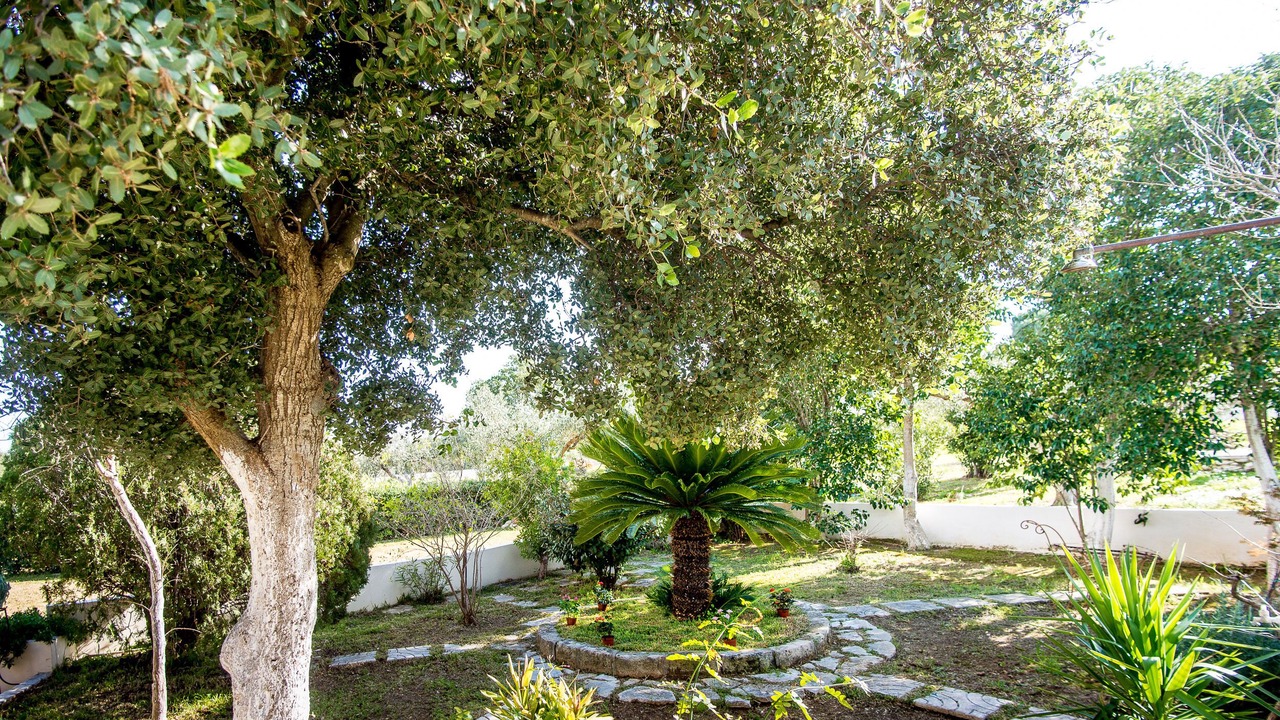 Photo of Outdoor in Mazarakata