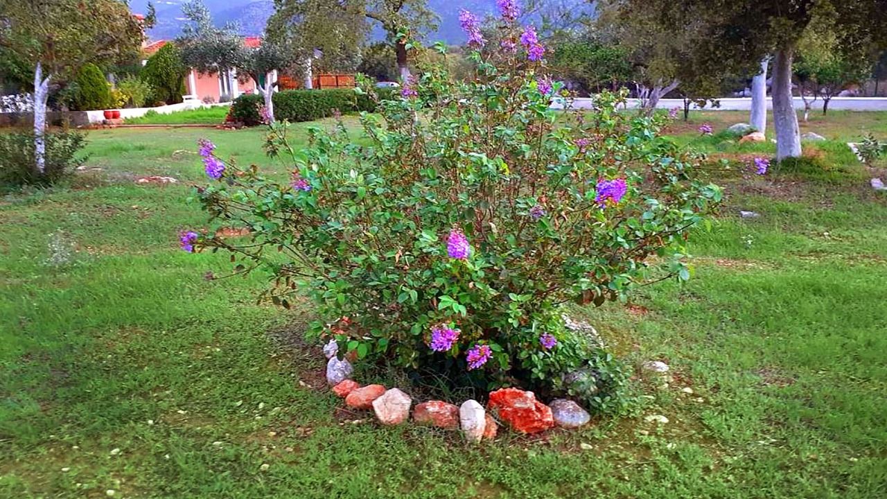 Photo of Outdoor in Mazarakata