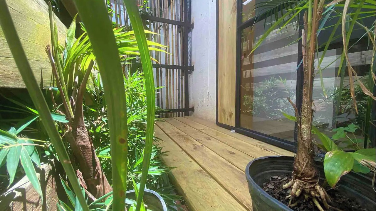 Photo of Outdoor in Desamparados