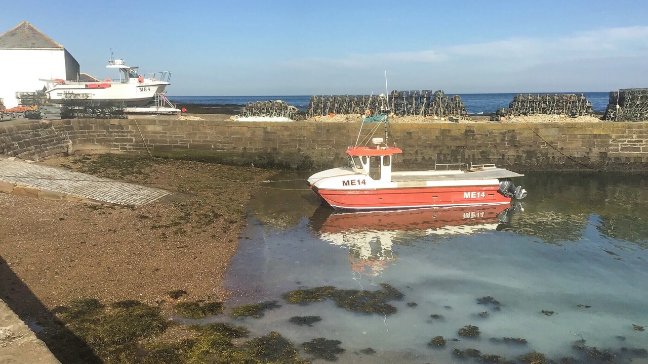 Photo of Others in Johnshaven