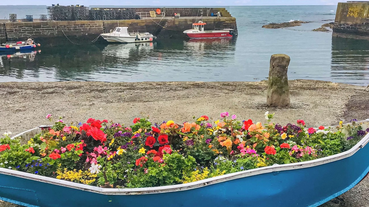 Photo of Others in Johnshaven