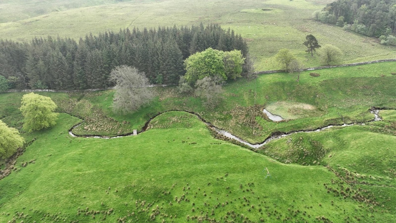 Photo of Outdoor in West Calder