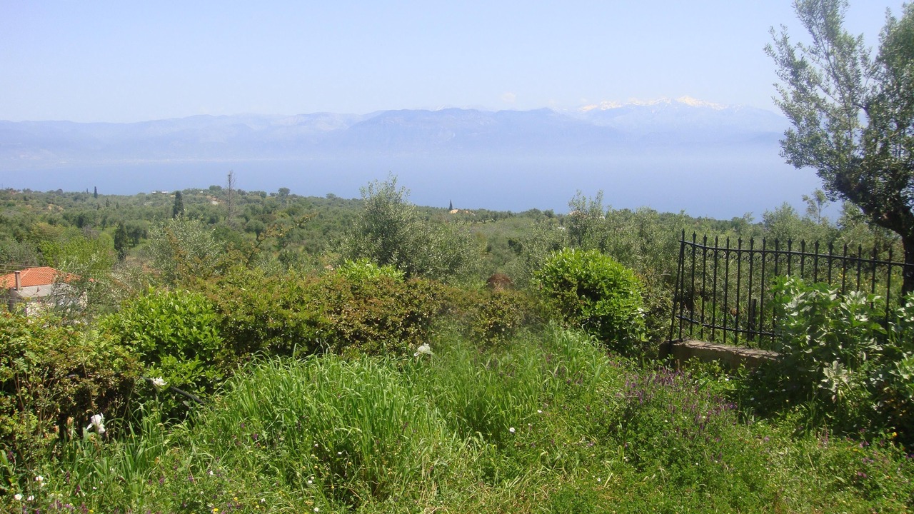 Photo of Outdoor in Vlachokerasia