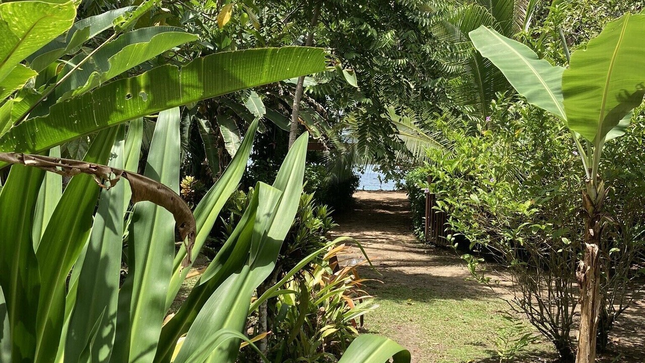 Photo of Outdoor in Punta Uva
