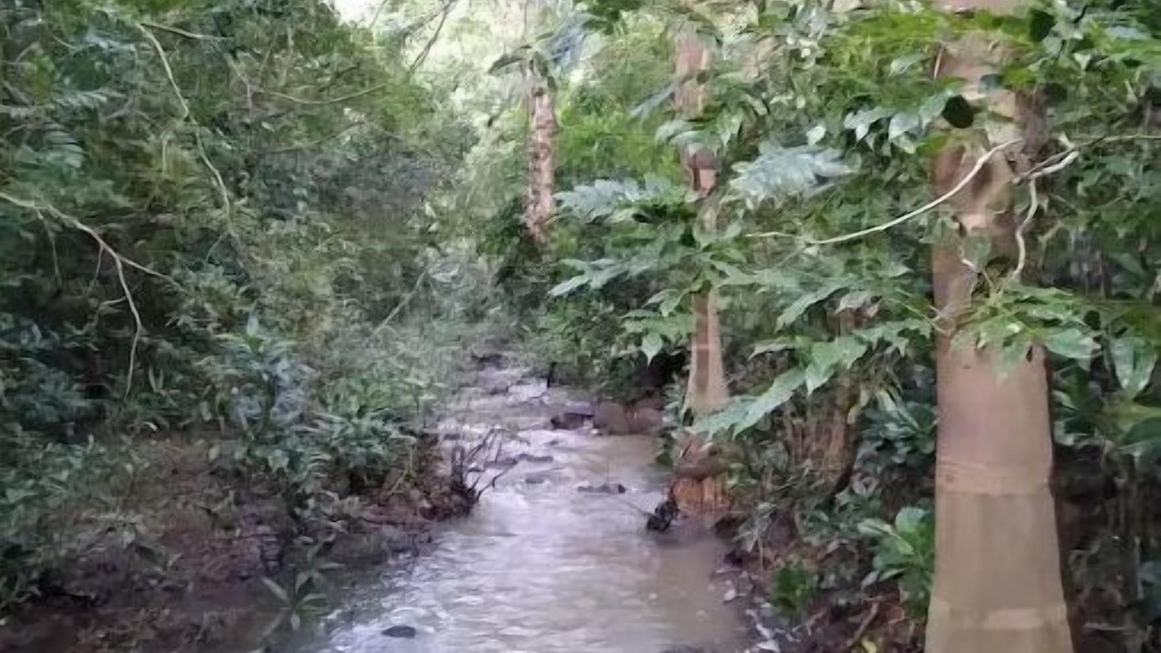 Photo of Outdoor in Cerro Plano