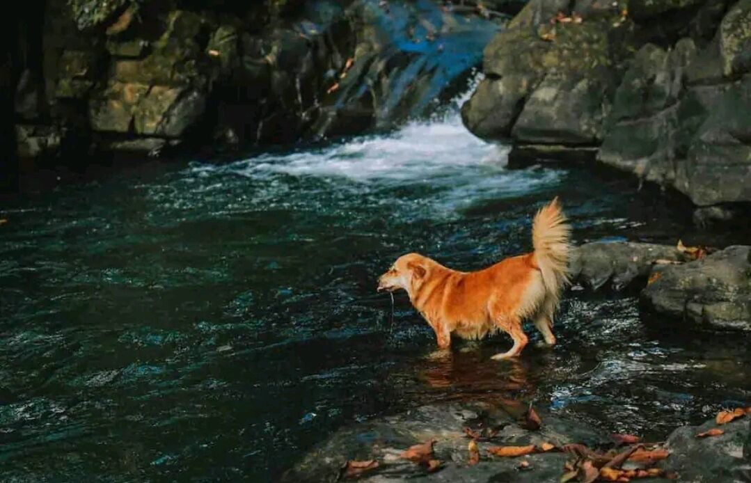 Photo of Others in Cascada Azul