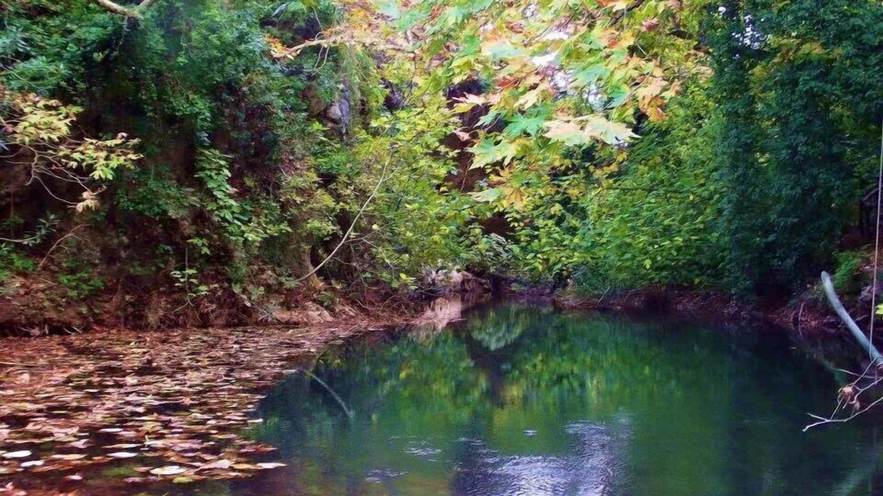 Photo of Others in Skotino