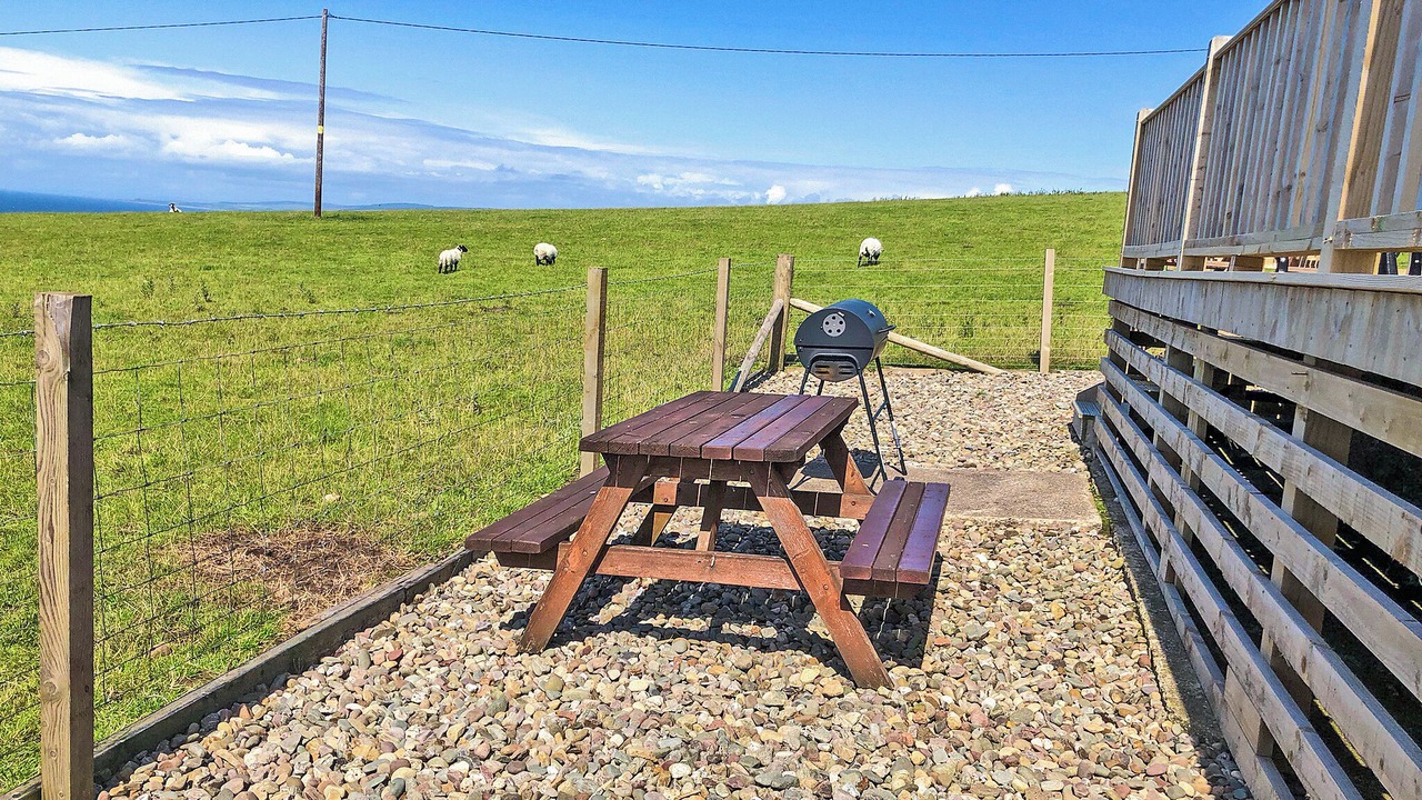 Photo of Others in Machrihanish