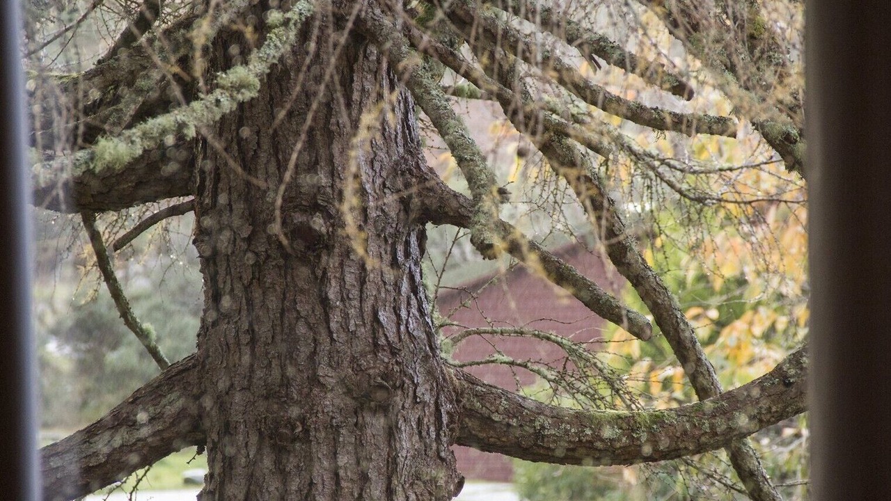 Photo of Outdoor in Duirinish