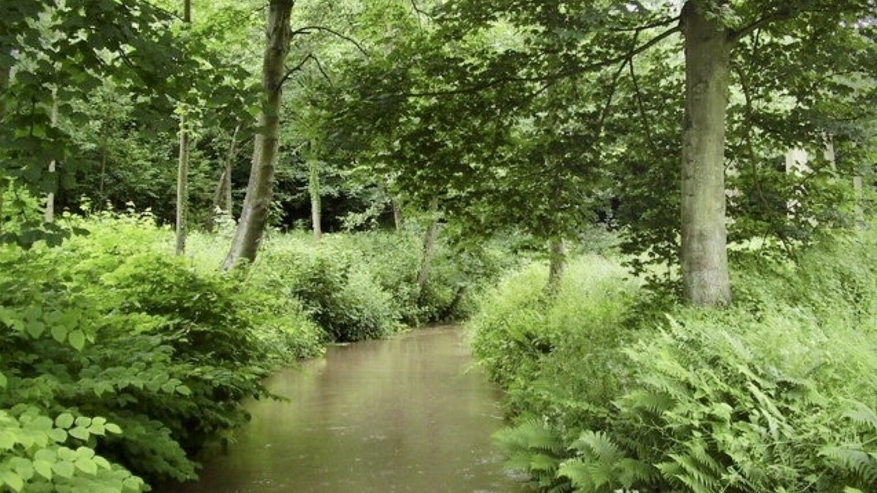 Photo of Outdoor in Pencaitland