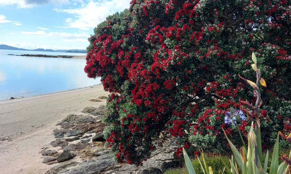 Photo of Others in Maraetai