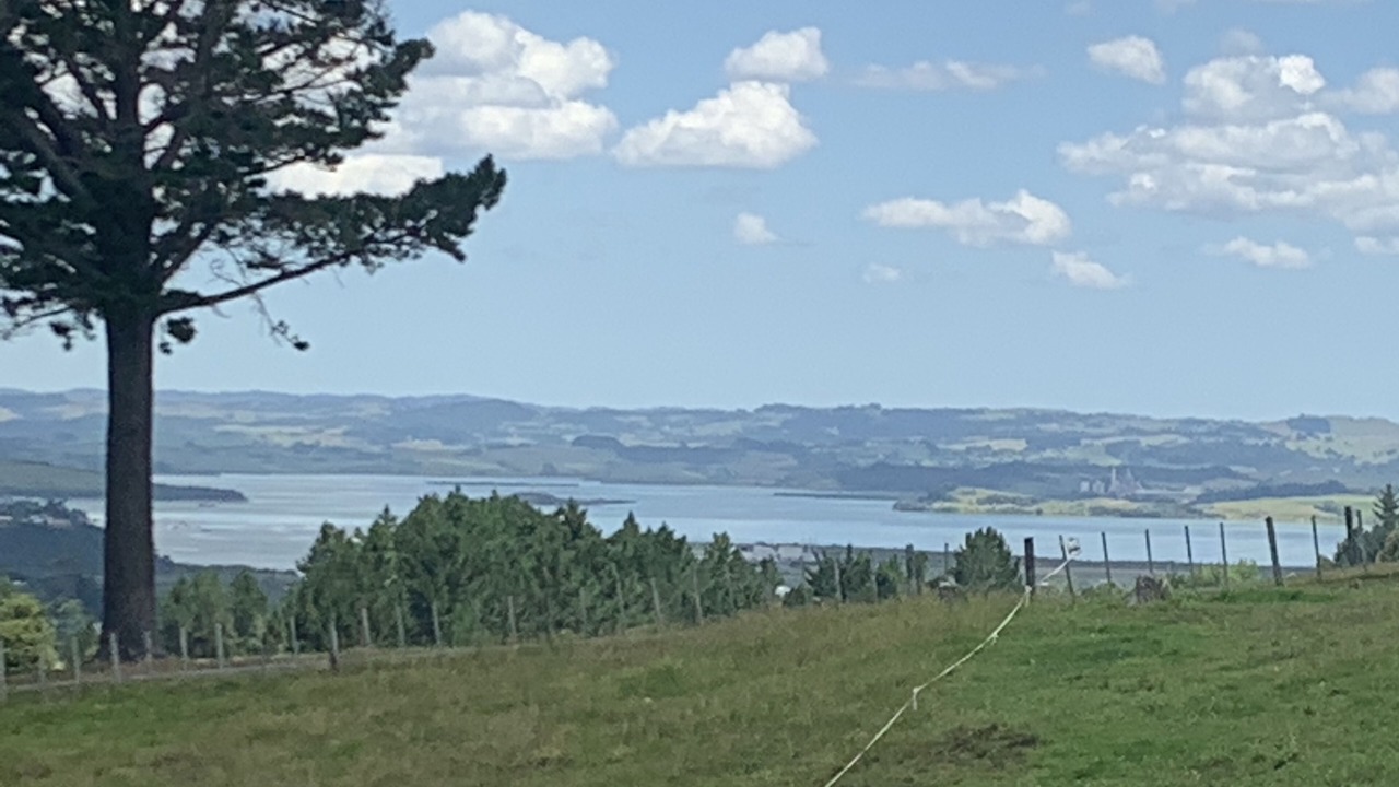 Photo of Others in Whangarei