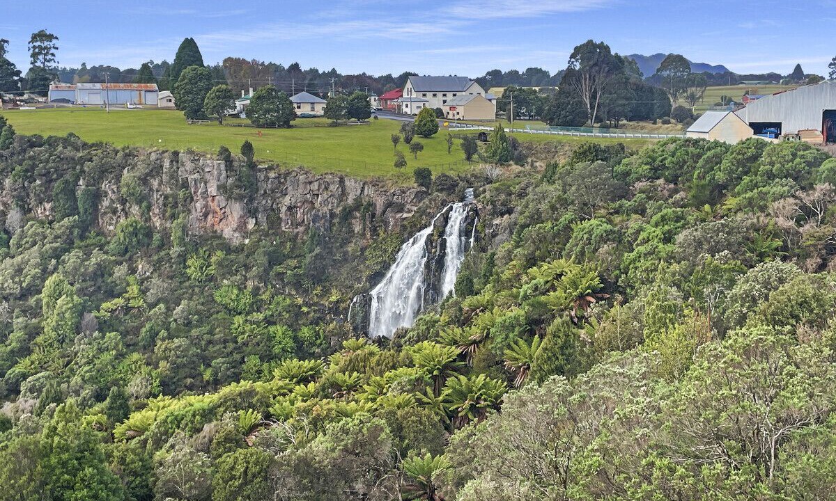 Photo of Others in Waratah
