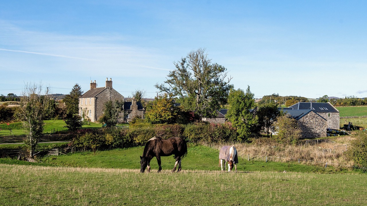 Photo of Others in Duns