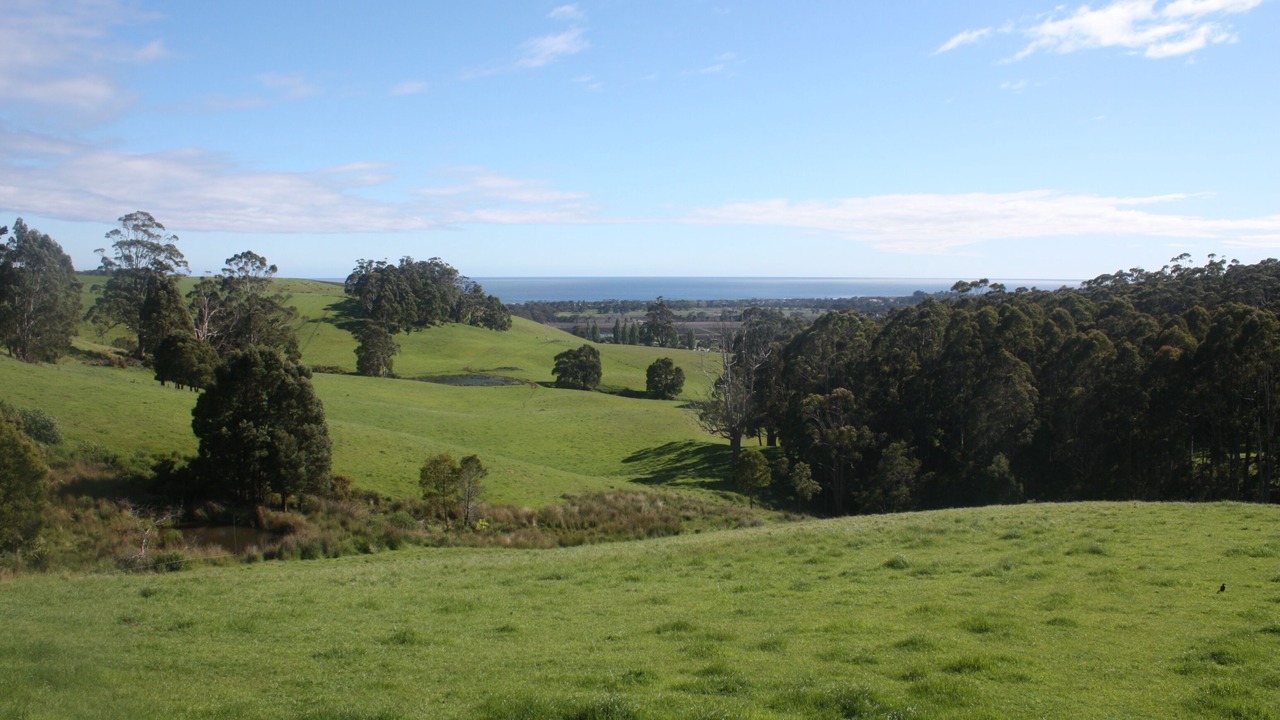 Photo of Others in Turners Beach