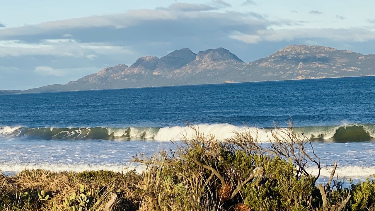Photo of Others in Dolphin Sands
