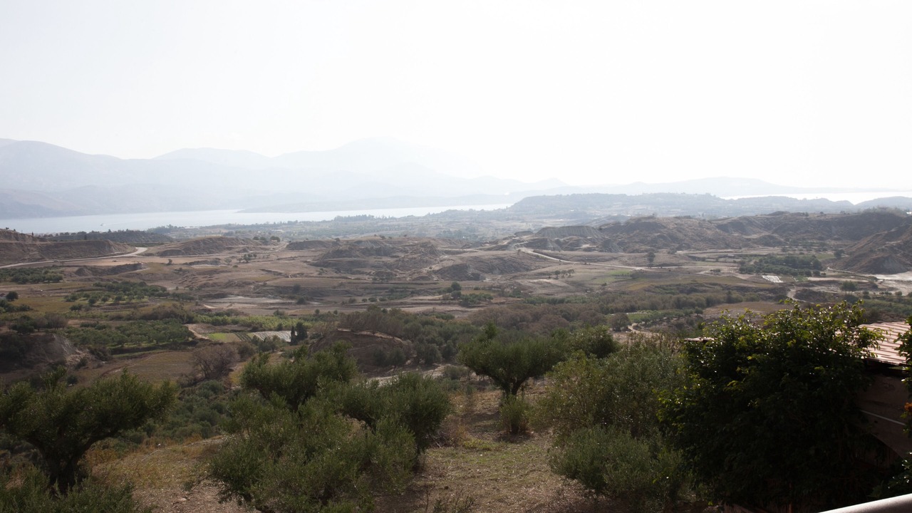 Photo of Others in Paliki