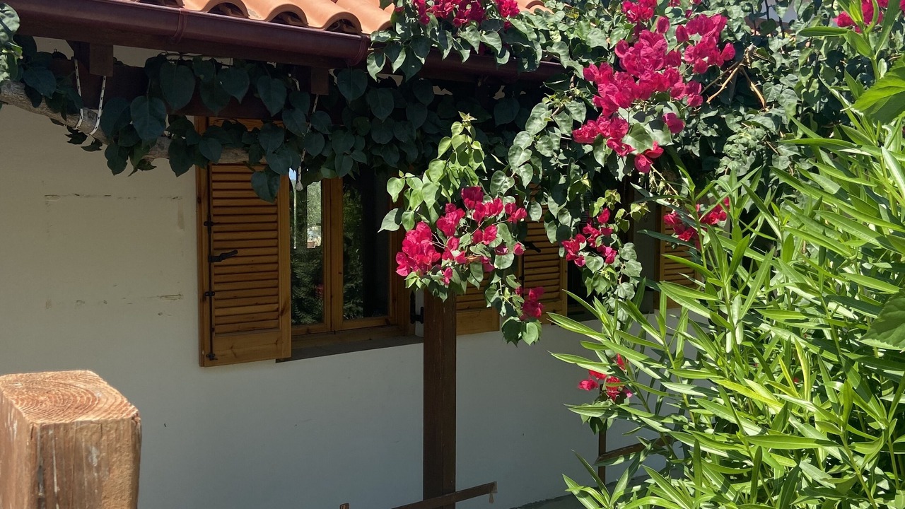 Photo of Outdoor in Roumeli