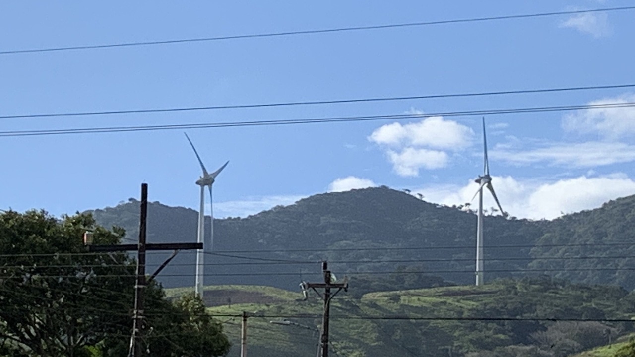 Photo of Others in Rio Naranjo