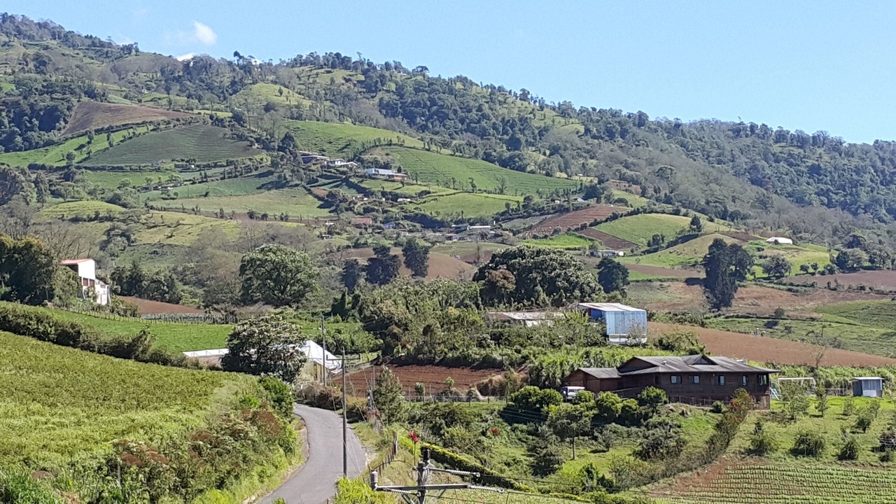 Photo of Outdoor in Pacayas