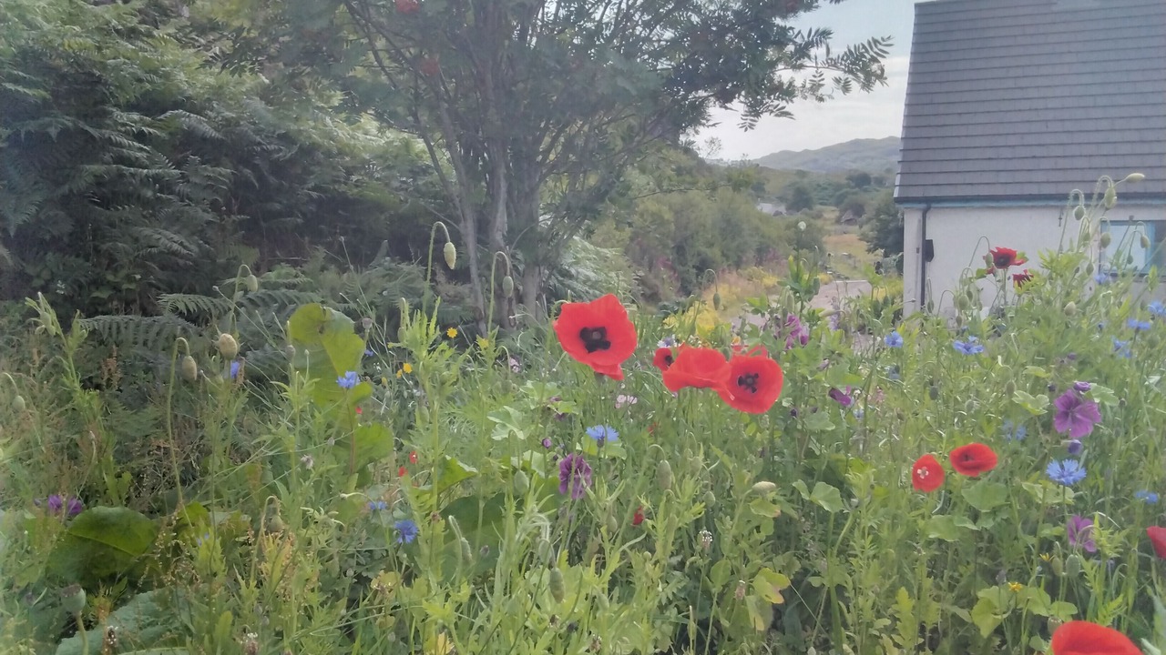 Photo of Outdoor in Applecross