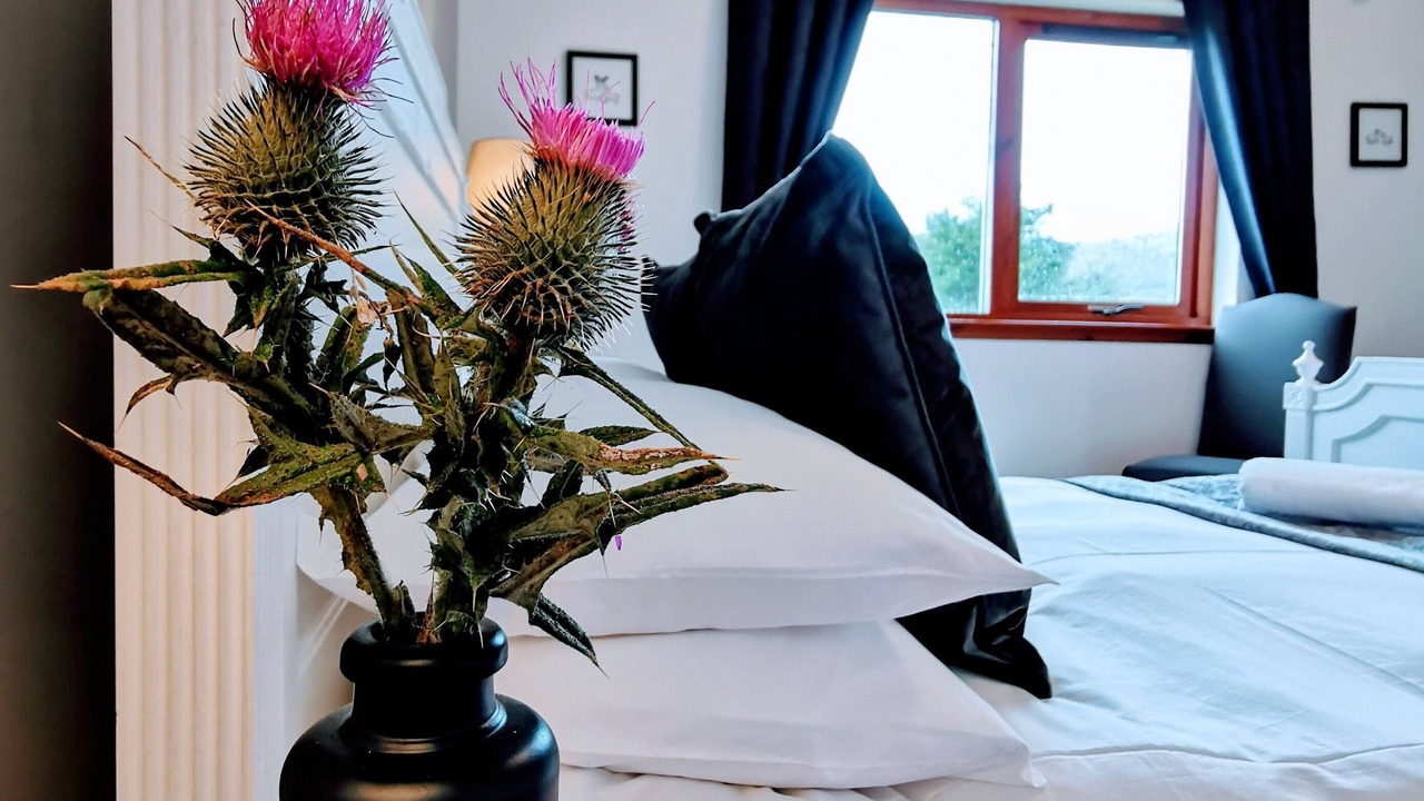 Photo of Bedroom in Applecross