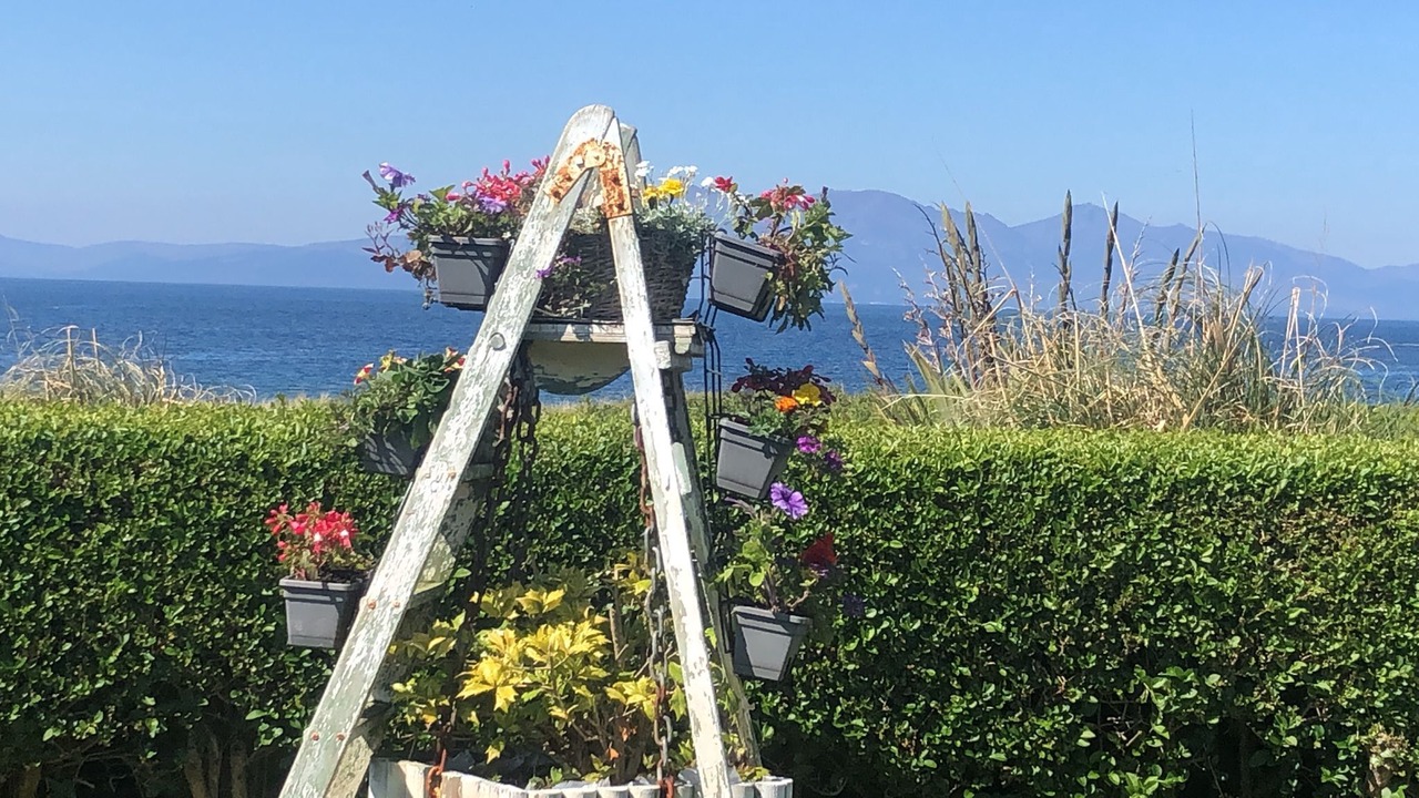 Photo of Outdoor in Seamill