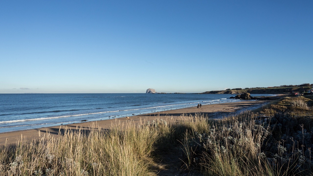 Photo of Others in North Berwick