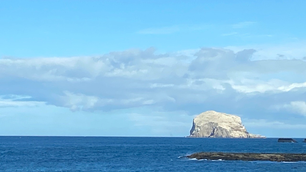 Photo of Others in North Berwick