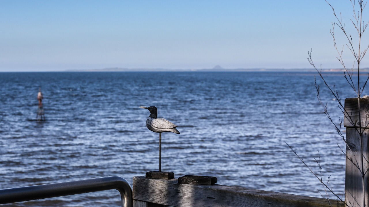 Photo of Others in Joppa